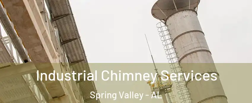 Industrial Chimney Services Spring Valley - AL