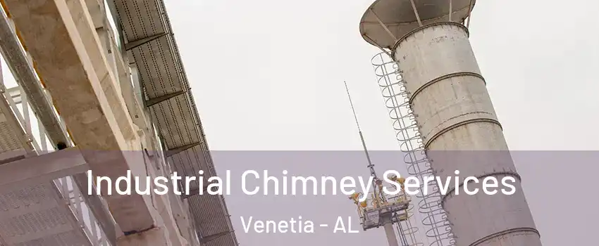 Industrial Chimney Services Venetia - AL