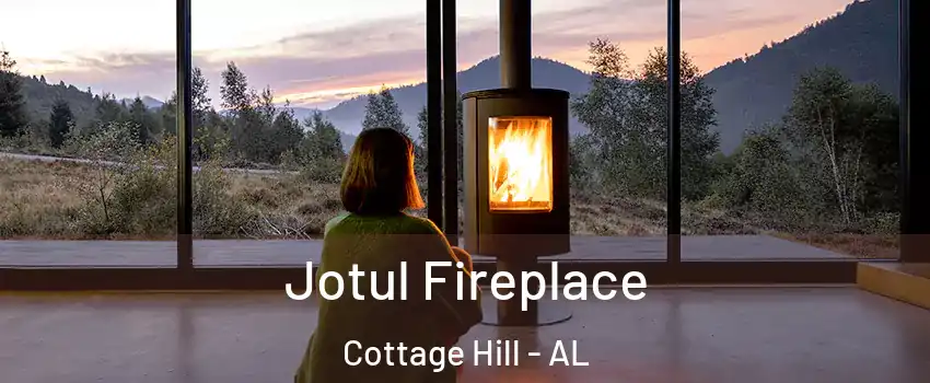 Jotul Fireplace Cottage Hill - AL