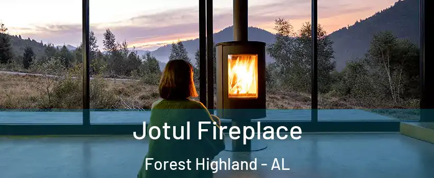 Jotul Fireplace Forest Highland - AL
