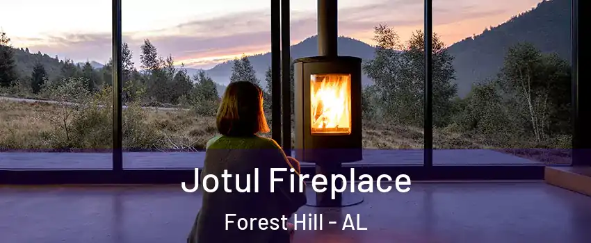 Jotul Fireplace Forest Hill - AL
