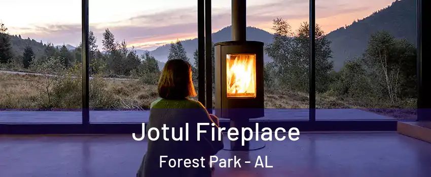 Jotul Fireplace Forest Park - AL