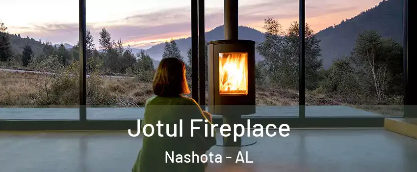 Jotul Fireplace Nashota - AL