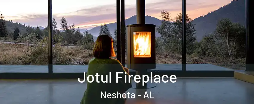 Jotul Fireplace Neshota - AL