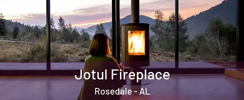 Jotul Fireplace Rosedale - AL