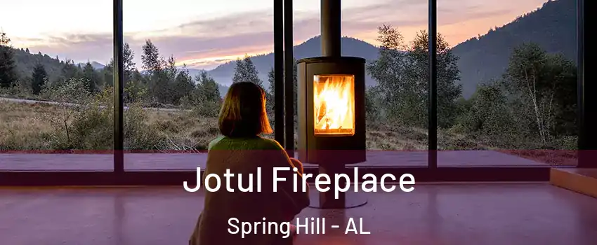 Jotul Fireplace Spring Hill - AL