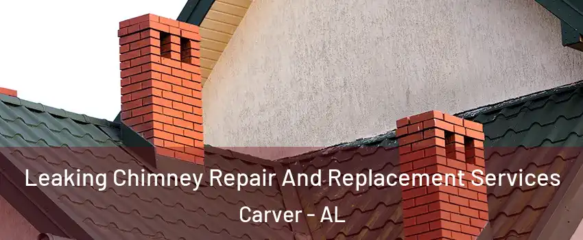 Leaking Chimney Repair And Replacement Services Carver - AL