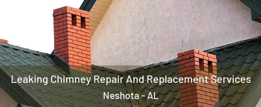 Leaking Chimney Repair And Replacement Services Neshota - AL