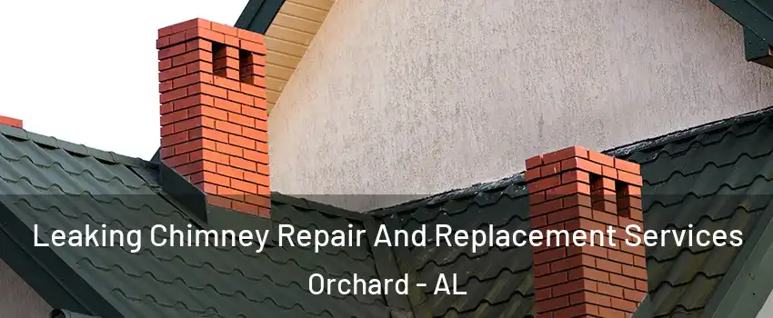 Leaking Chimney Repair And Replacement Services Orchard - AL