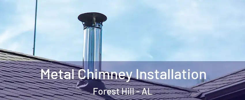 Metal Chimney Installation Forest Hill - AL
