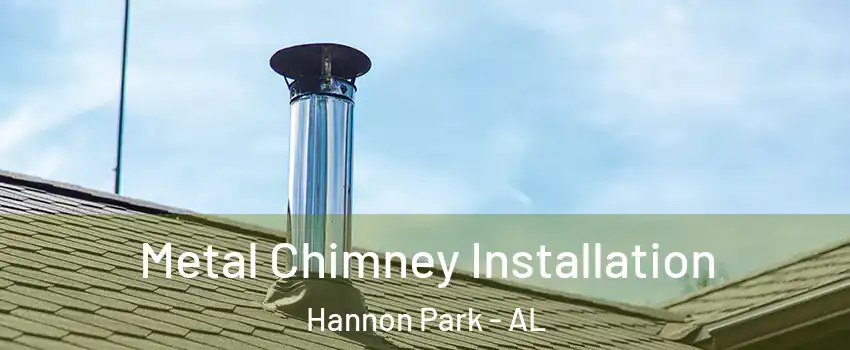 Metal Chimney Installation Hannon Park - AL