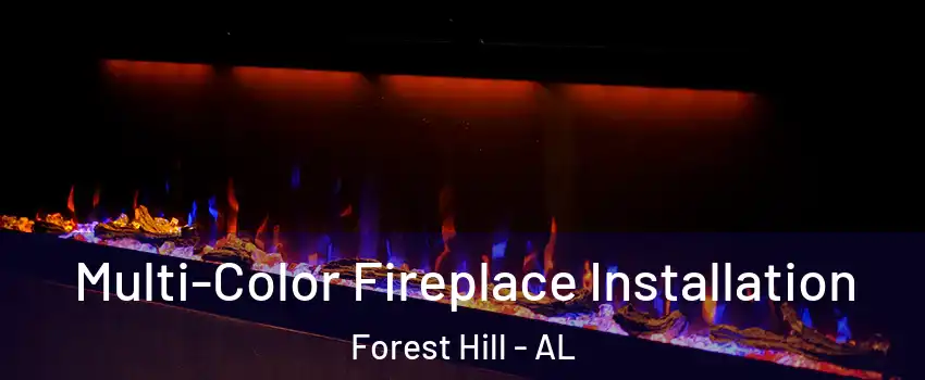 Multi-Color Fireplace Installation Forest Hill - AL