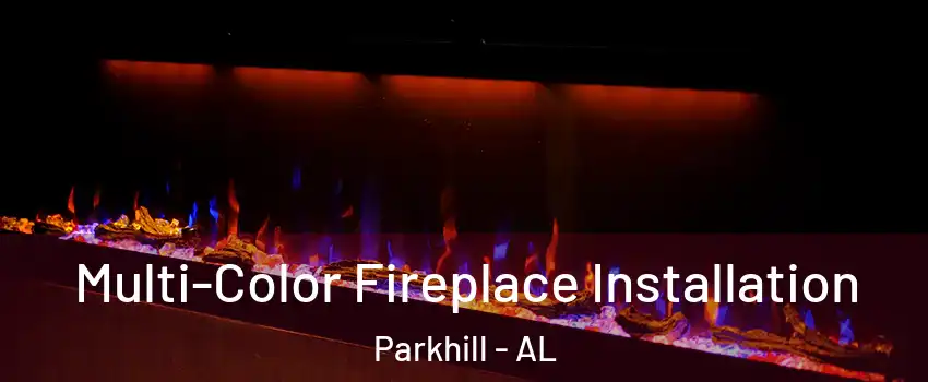 Multi-Color Fireplace Installation Parkhill - AL