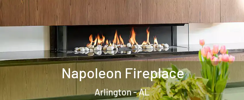 Napoleon Fireplace Arlington - AL