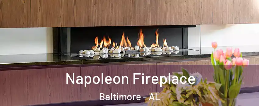 Napoleon Fireplace Baltimore - AL
