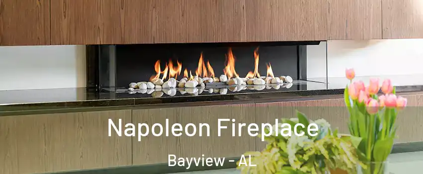 Napoleon Fireplace Bayview - AL