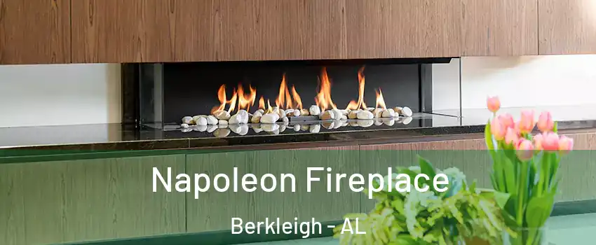 Napoleon Fireplace Berkleigh - AL