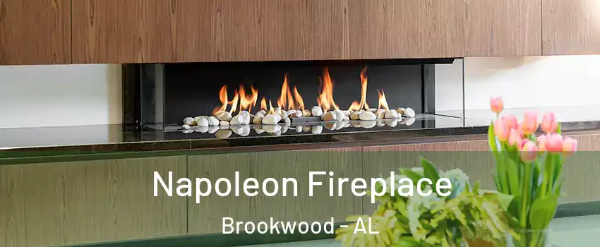 Napoleon Fireplace Brookwood - AL
