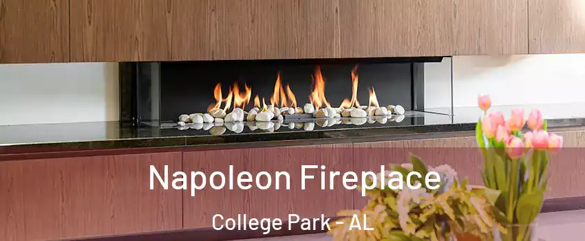 Napoleon Fireplace College Park - AL