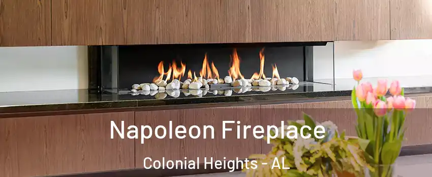 Napoleon Fireplace Colonial Heights - AL