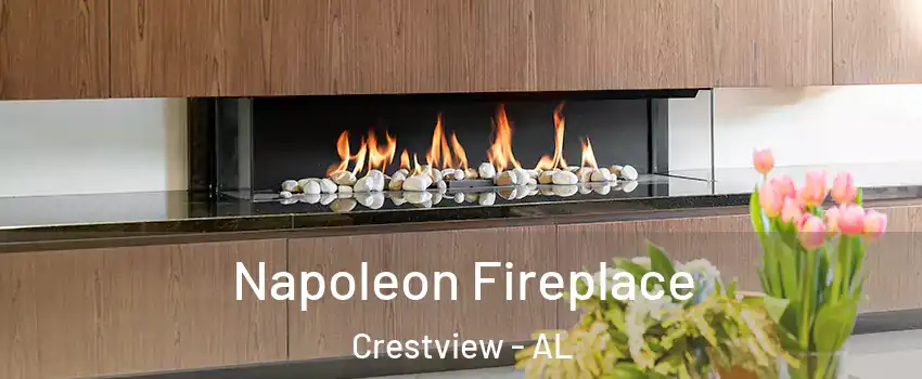 Napoleon Fireplace Crestview - AL
