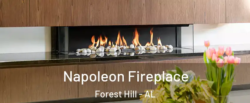 Napoleon Fireplace Forest Hill - AL