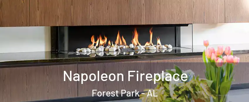 Napoleon Fireplace Forest Park - AL