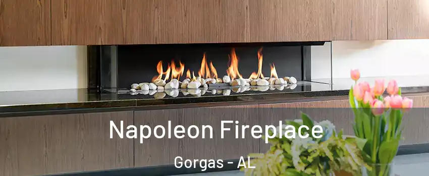 Napoleon Fireplace Gorgas - AL