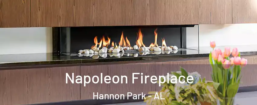 Napoleon Fireplace Hannon Park - AL