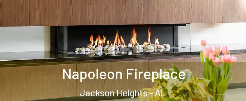 Napoleon Fireplace Jackson Heights - AL