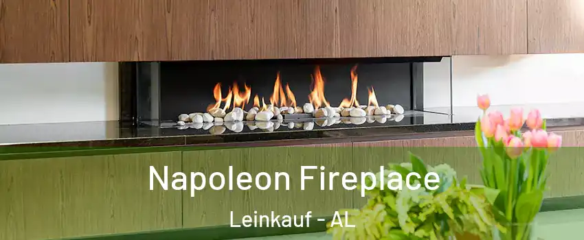 Napoleon Fireplace Leinkauf - AL
