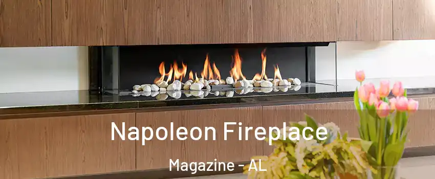 Napoleon Fireplace Magazine - AL