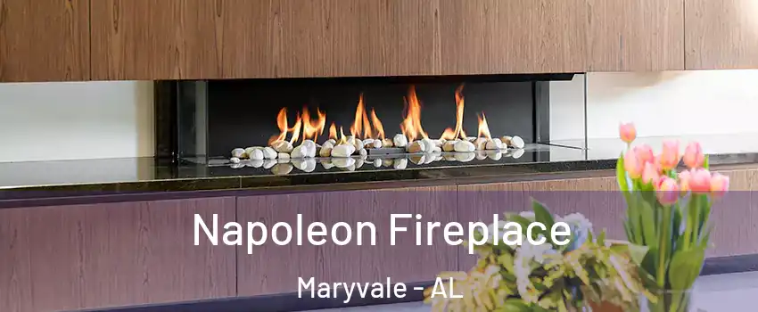 Napoleon Fireplace Maryvale - AL