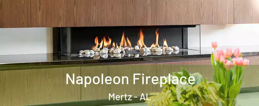 Napoleon Fireplace Mertz - AL