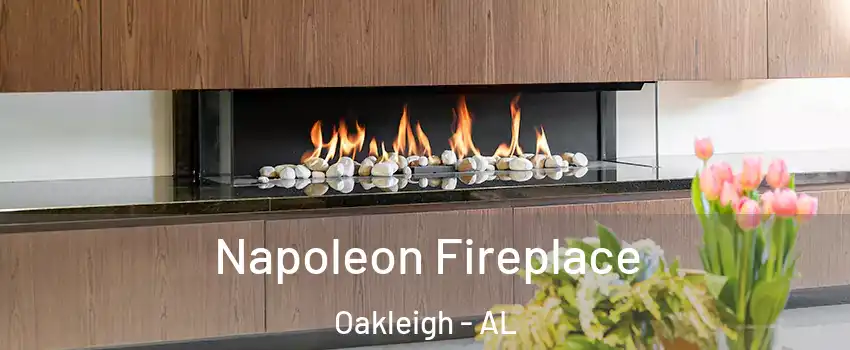 Napoleon Fireplace Oakleigh - AL
