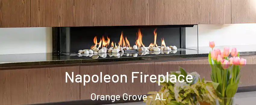 Napoleon Fireplace Orange Grove - AL