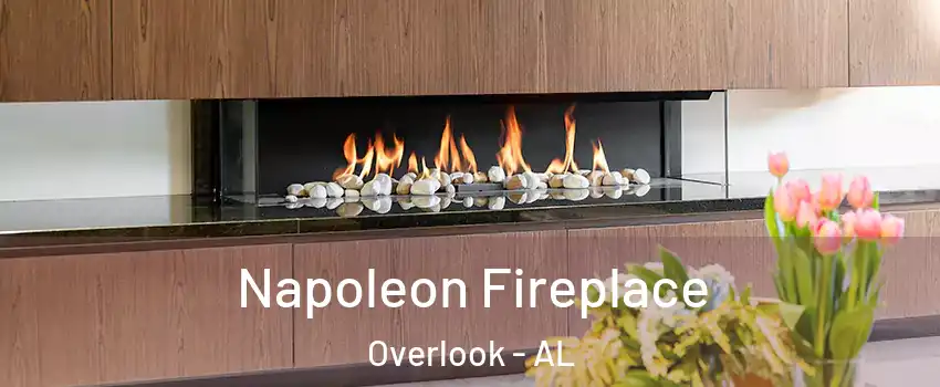 Napoleon Fireplace Overlook - AL