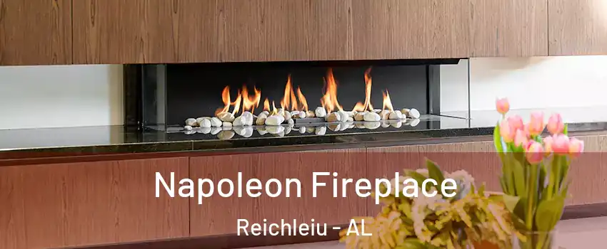 Napoleon Fireplace Reichleiu - AL