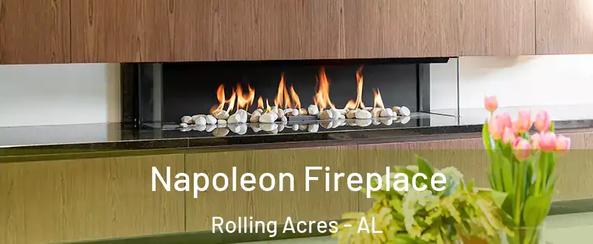 Napoleon Fireplace Rolling Acres - AL