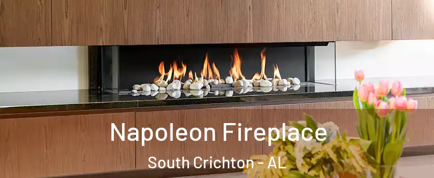 Napoleon Fireplace South Crichton - AL