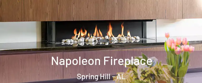 Napoleon Fireplace Spring Hill - AL