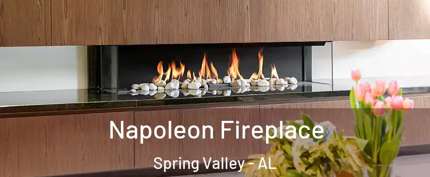 Napoleon Fireplace Spring Valley - AL