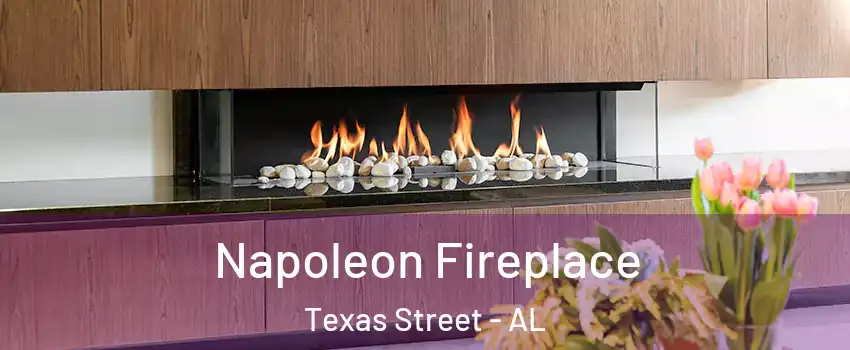 Napoleon Fireplace Texas Street - AL