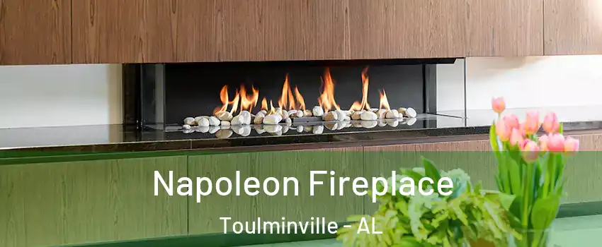 Napoleon Fireplace Toulminville - AL