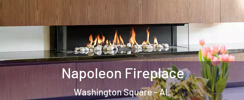 Napoleon Fireplace Washington Square - AL