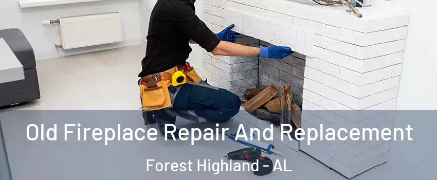 Old Fireplace Repair And Replacement Forest Highland - AL