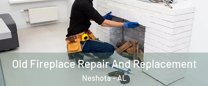 Old Fireplace Repair And Replacement Neshota - AL