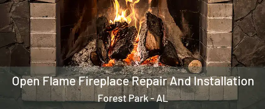 Open Flame Fireplace Repair And Installation Forest Park - AL