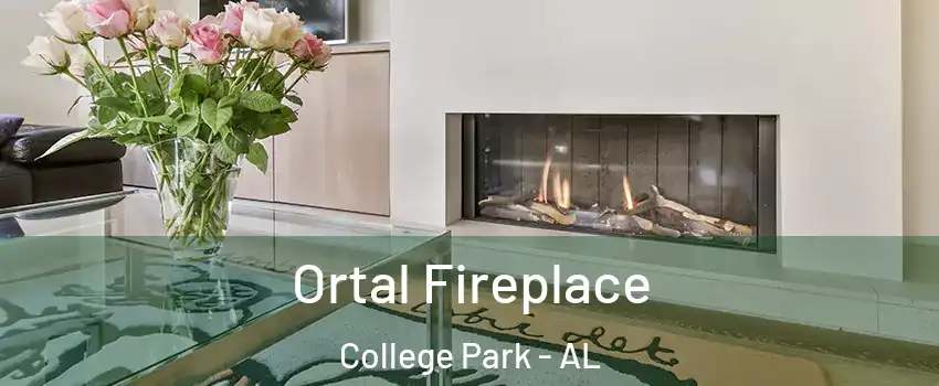 Ortal Fireplace College Park - AL