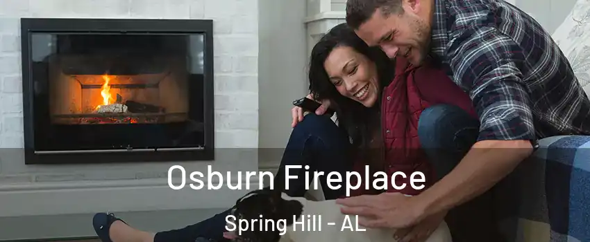 Osburn Fireplace Spring Hill - AL
